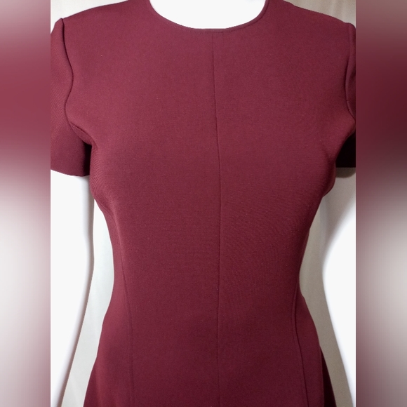 Theory S/S Fit and Flare Dress - Picture 5 of 6